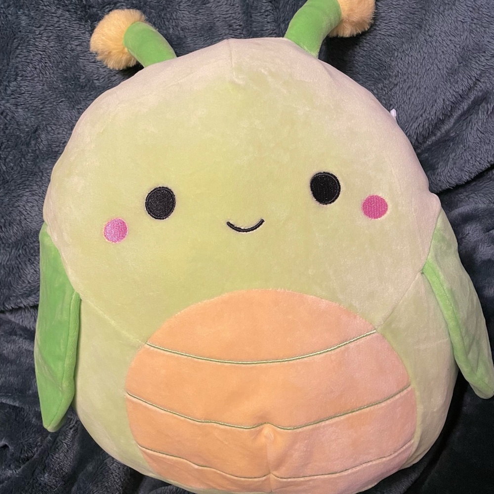 Pilar Caterpillar Squishmallow